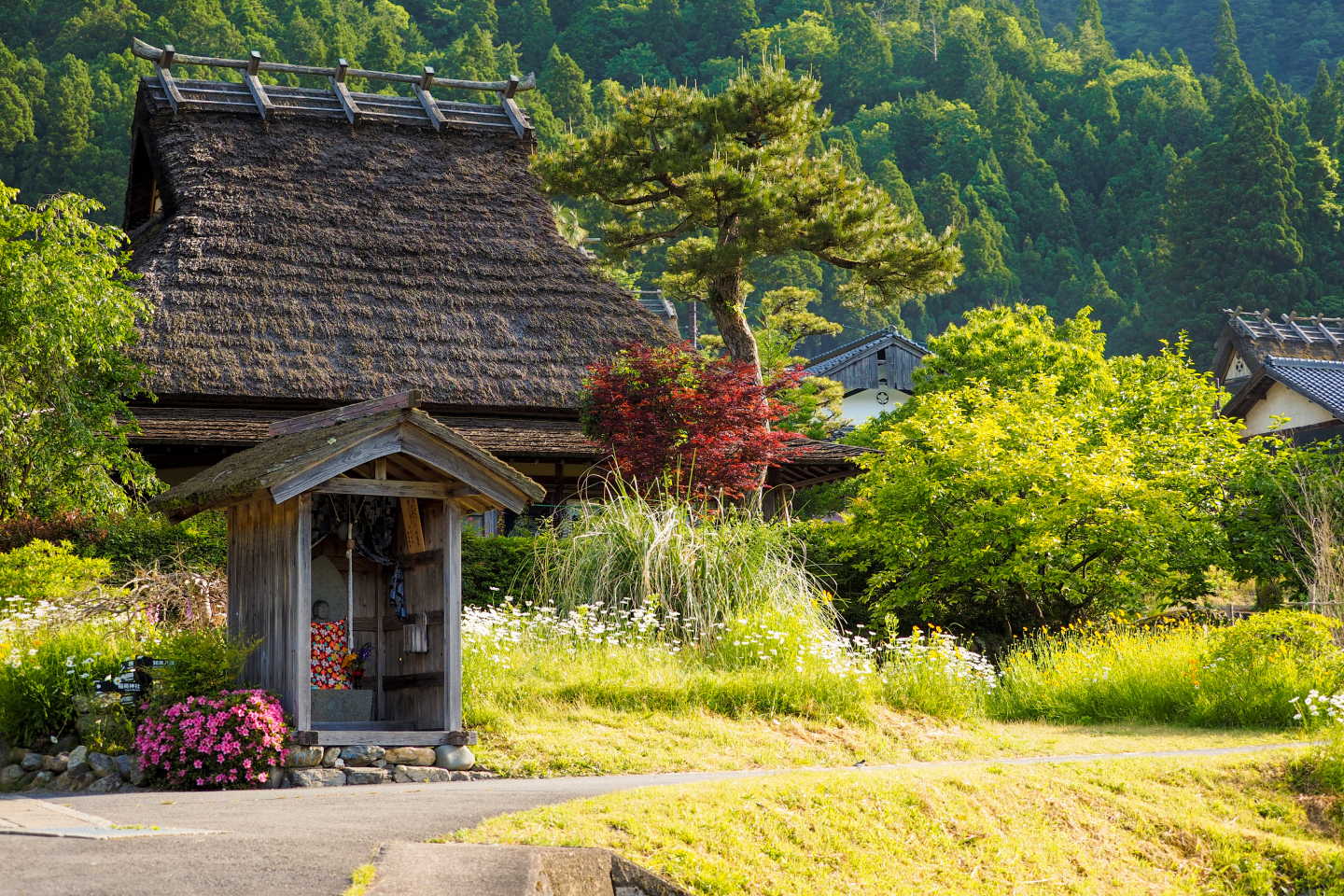 京都府南丹市