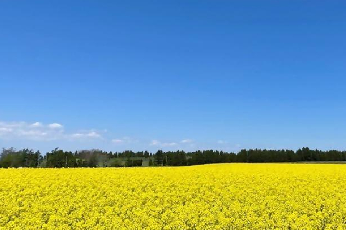 北海道滝川市