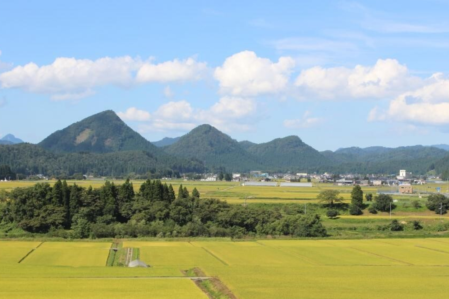 山形県金山町